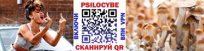 магазин    Лабинск  Галлюциногенные грибы GOLDEN TEACHER 