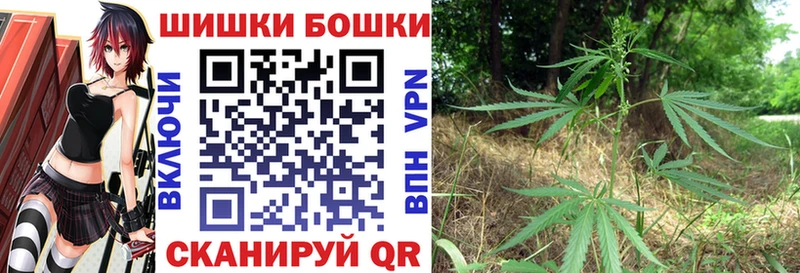 Бошки Шишки сатива Лабинск